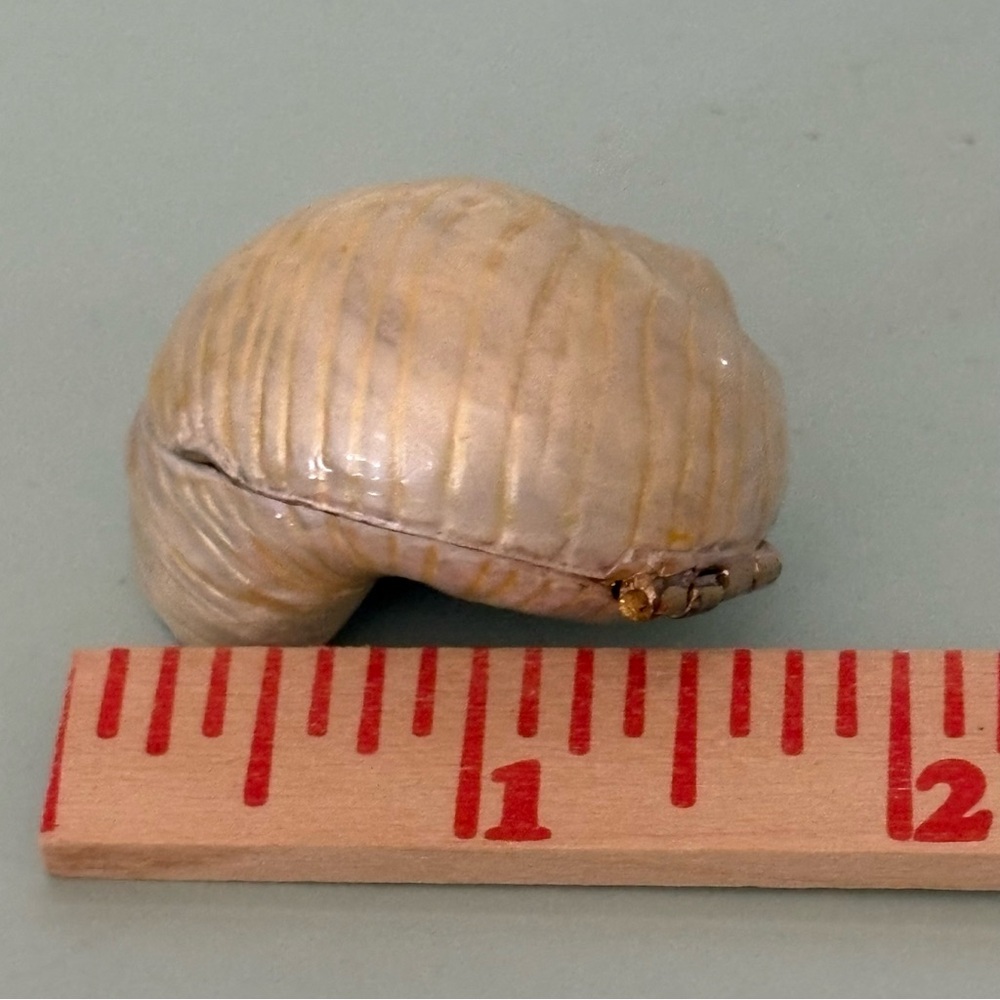 Monet 2011 Collectible Nautilus Shell Pearl Metal Ceramic Hinged Treasures Box - Picture 6 of 7